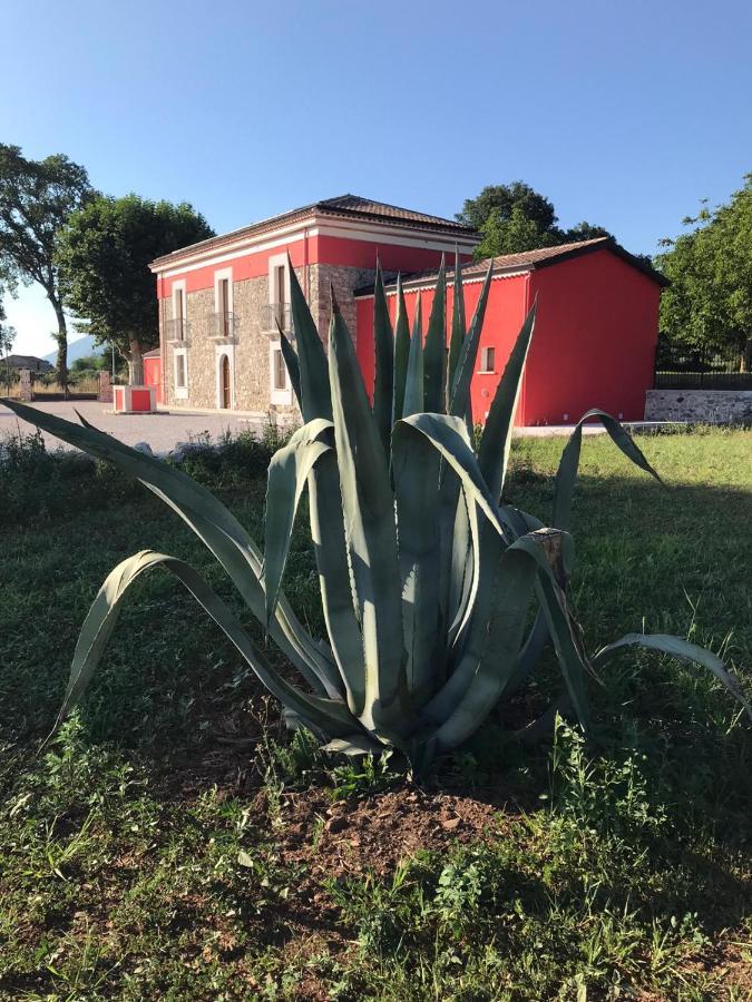 Agriturismo Dipinto Dal Sole 파둘라 외부 사진